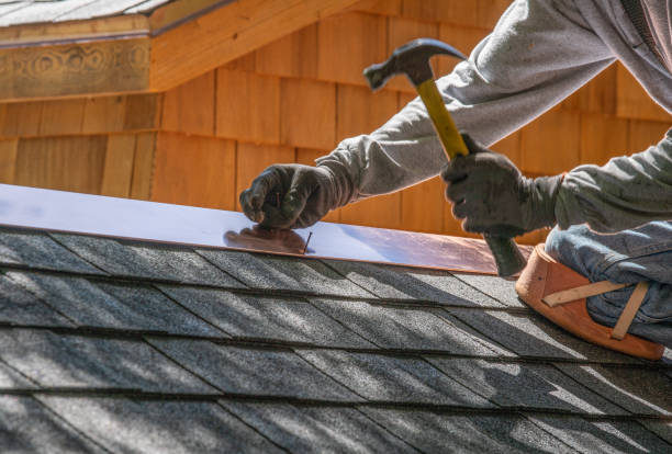 Professional Roofing and repair in Winter Garden, FL